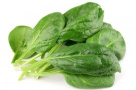 Spinach on  white